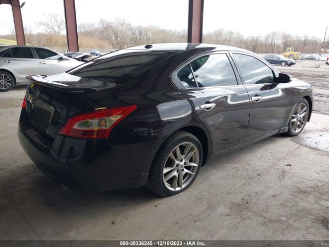 Photo 3 VIN: 1N4AA5AP8BC838388 - NISSAN MAXIMA 