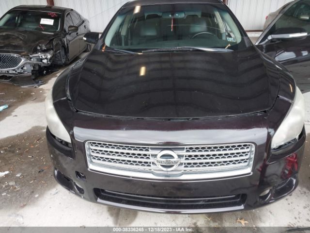 Photo 5 VIN: 1N4AA5AP8BC838388 - NISSAN MAXIMA 