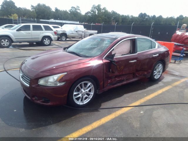 Photo 1 VIN: 1N4AA5AP8BC839587 - NISSAN MAXIMA 