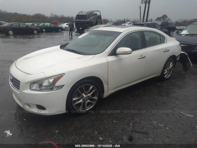 Photo 1 VIN: 1N4AA5AP8BC847303 - NISSAN MAXIMA 