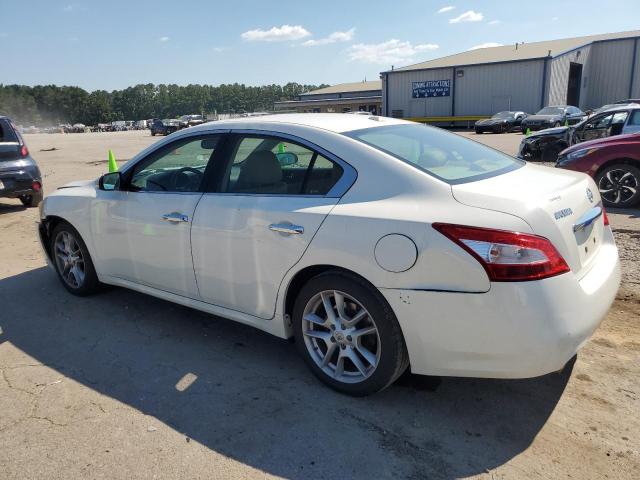 Photo 1 VIN: 1N4AA5AP8BC849083 - NISSAN MAXIMA 