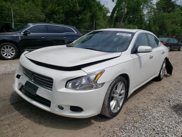 Photo 1 VIN: 1N4AA5AP8BC851674 - NISSAN MAXIMA S 