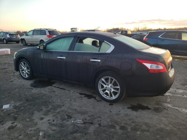 Photo 1 VIN: 1N4AA5AP8BC853697 - NISSAN MAXIMA 