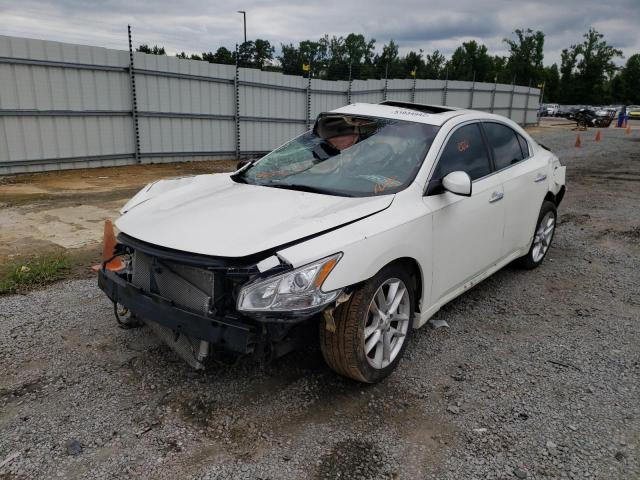 Photo 1 VIN: 1N4AA5AP8BC855398 - NISSAN MAXIMA 