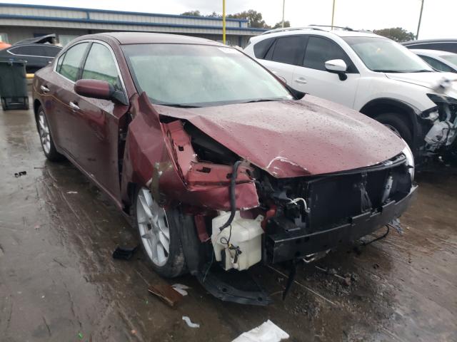 Photo 0 VIN: 1N4AA5AP8BC858950 - NISSAN MAXIMA S 