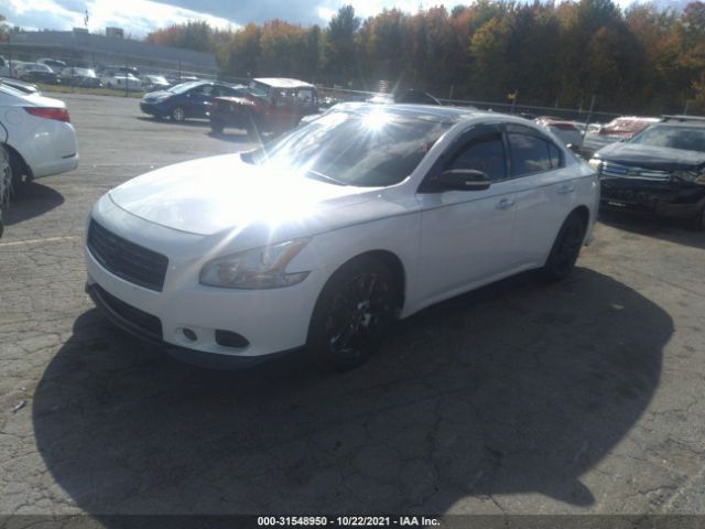 Photo 1 VIN: 1N4AA5AP8BC864991 - NISSAN MAXIMA 