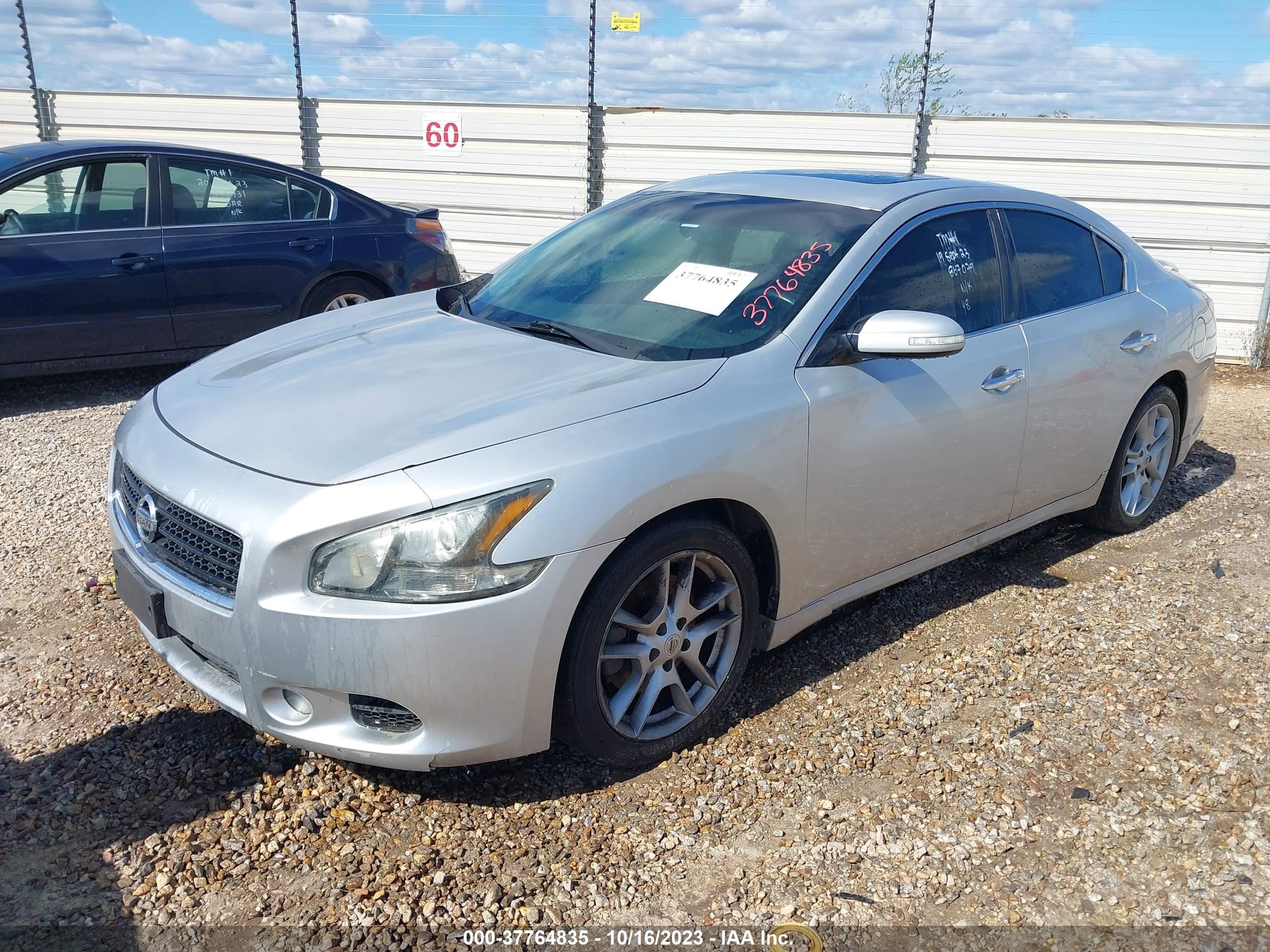 Photo 1 VIN: 1N4AA5AP8BC867079 - NISSAN MAXIMA 