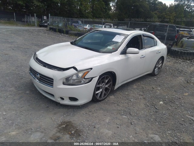 Photo 1 VIN: 1N4AA5AP8BC869172 - NISSAN MAXIMA 