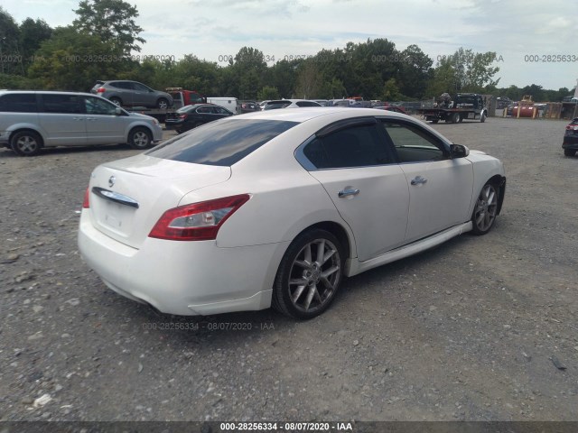 Photo 3 VIN: 1N4AA5AP8BC869172 - NISSAN MAXIMA 