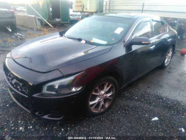 Photo 1 VIN: 1N4AA5AP8CC807417 - NISSAN MAXIMA 