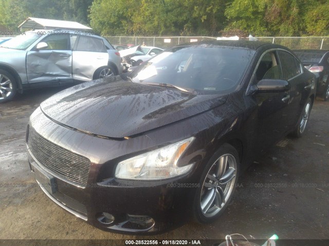 Photo 1 VIN: 1N4AA5AP8CC857704 - NISSAN MAXIMA 