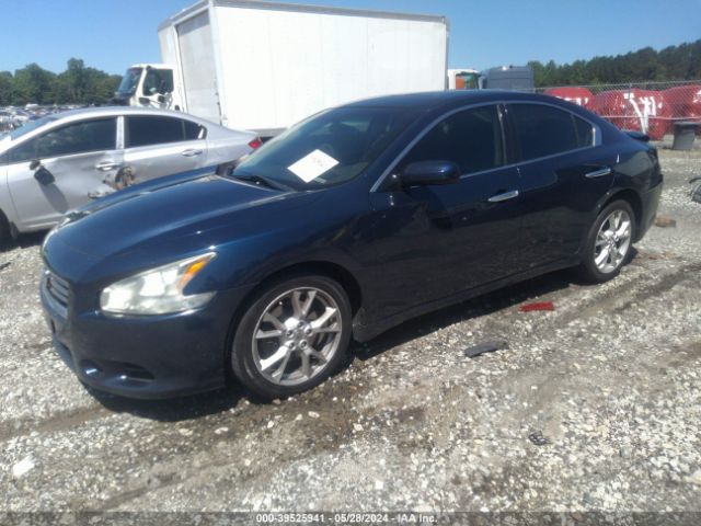 Photo 1 VIN: 1N4AA5AP8DC811615 - NISSAN MAXIMA 