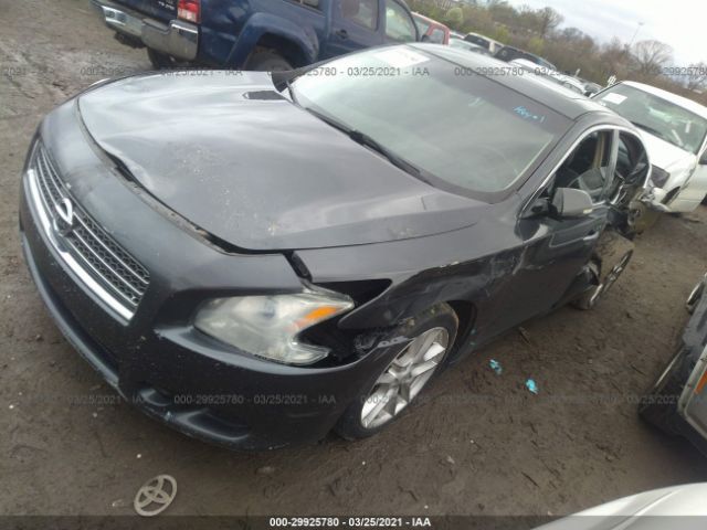 Photo 1 VIN: 1N4AA5AP8DC823909 - NISSAN MAXIMA 