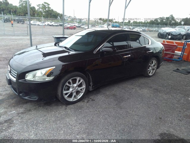 Photo 1 VIN: 1N4AA5AP8DC829337 - NISSAN MAXIMA 