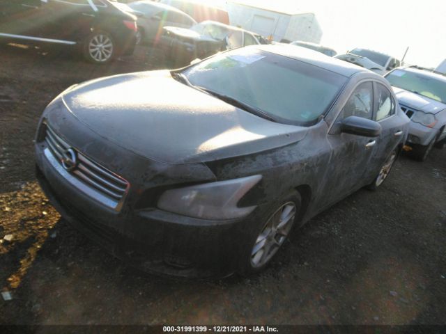 Photo 1 VIN: 1N4AA5AP8DC840757 - NISSAN MAXIMA 