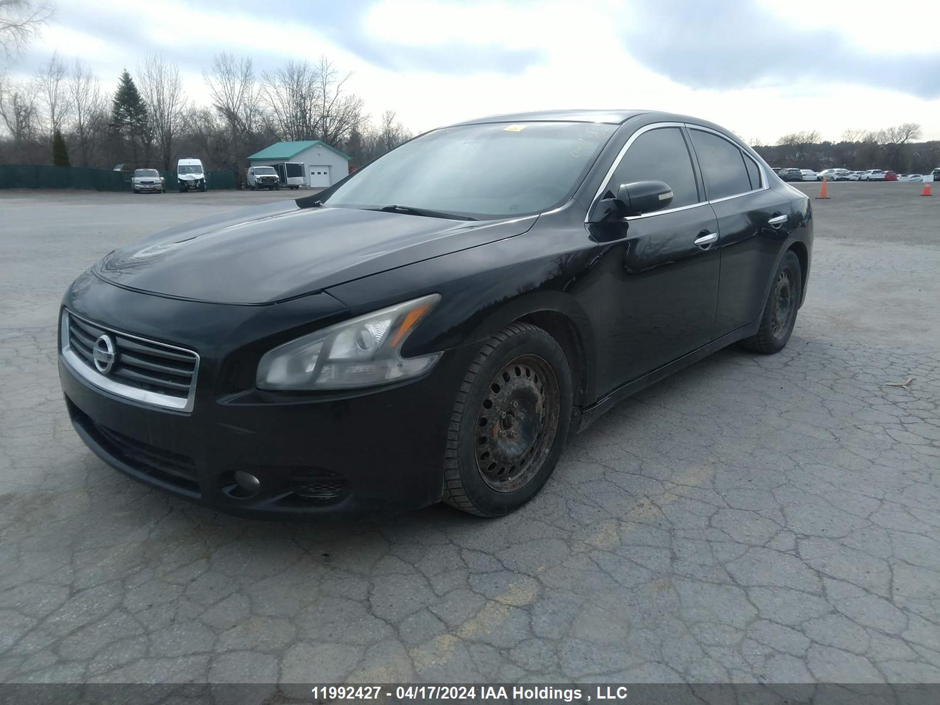 Photo 1 VIN: 1N4AA5AP8DC841424 - NISSAN MAXIMA 