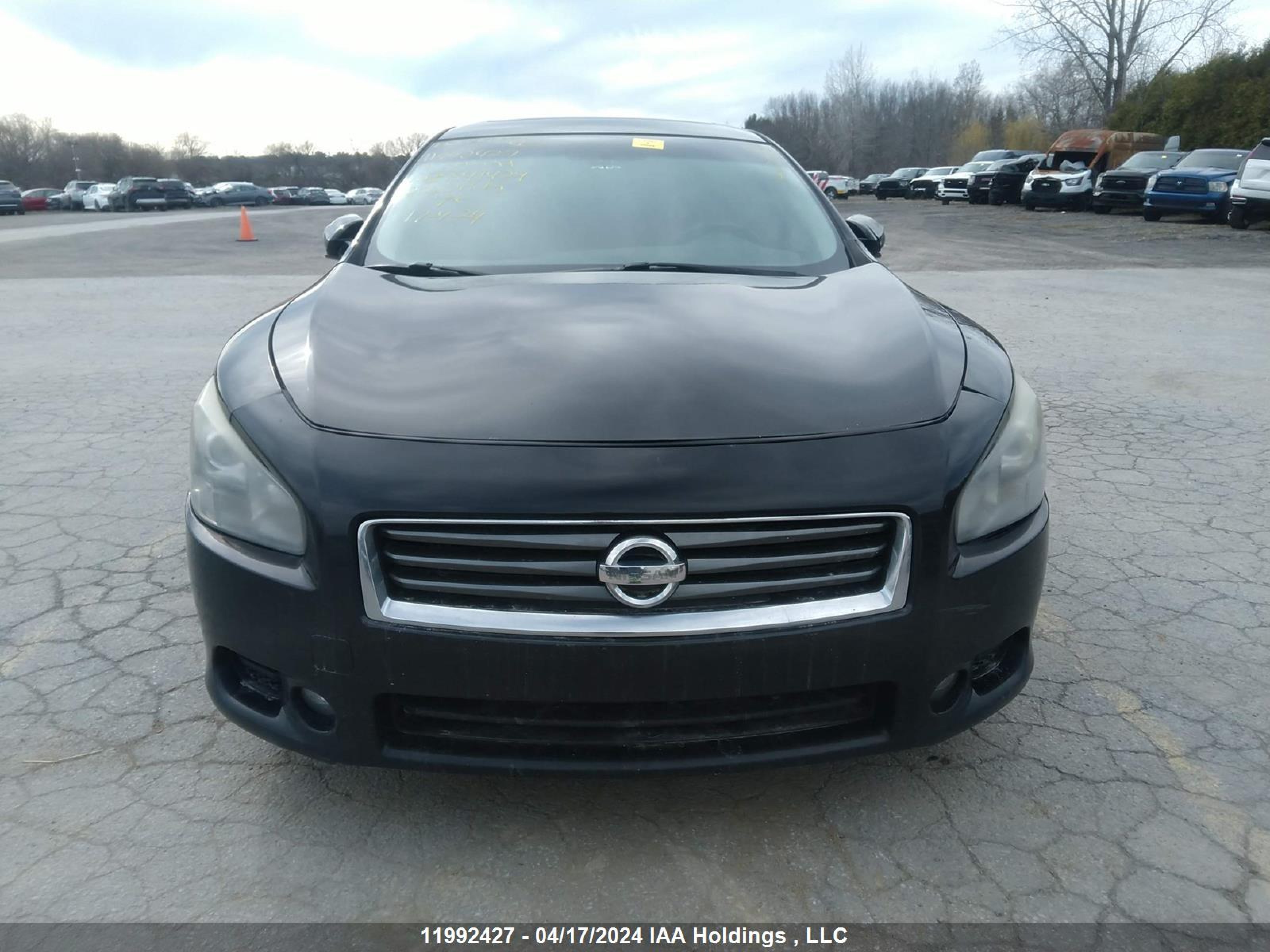 Photo 11 VIN: 1N4AA5AP8DC841424 - NISSAN MAXIMA 