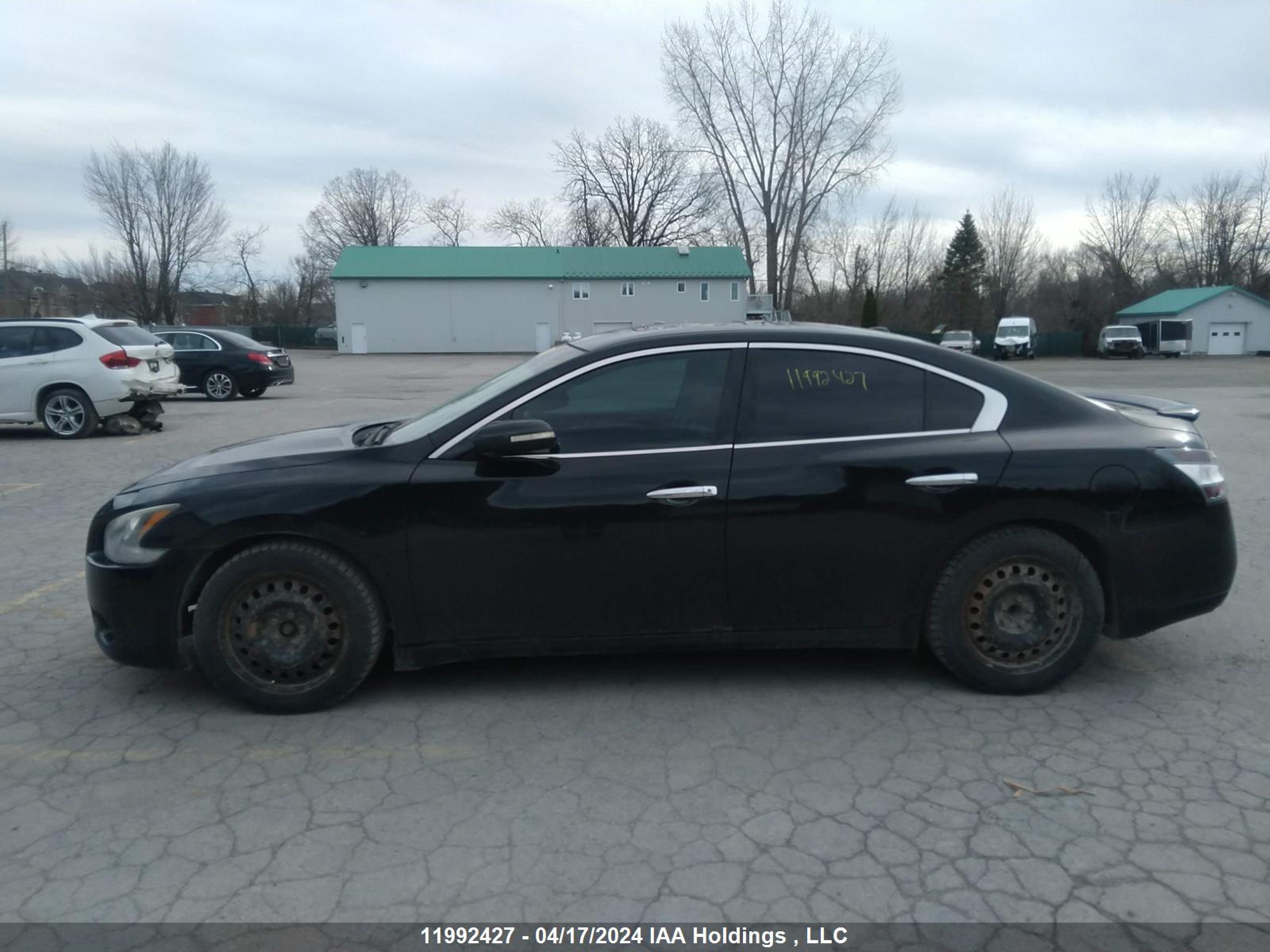 Photo 13 VIN: 1N4AA5AP8DC841424 - NISSAN MAXIMA 