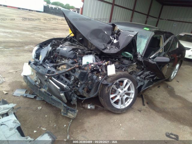 Photo 1 VIN: 1N4AA5AP8EC467303 - NISSAN MAXIMA 