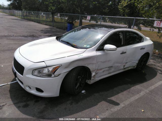 Photo 1 VIN: 1N4AA5AP8EC480648 - NISSAN MAXIMA 