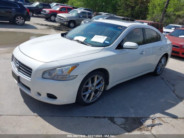 Photo 1 VIN: 1N4AA5AP9AC803745 - NISSAN MAXIMA 