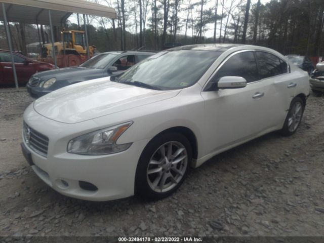 Photo 1 VIN: 1N4AA5AP9AC806242 - NISSAN MAXIMA 