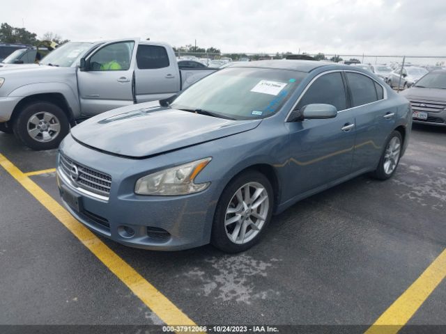 Photo 1 VIN: 1N4AA5AP9AC816527 - NISSAN MAXIMA 