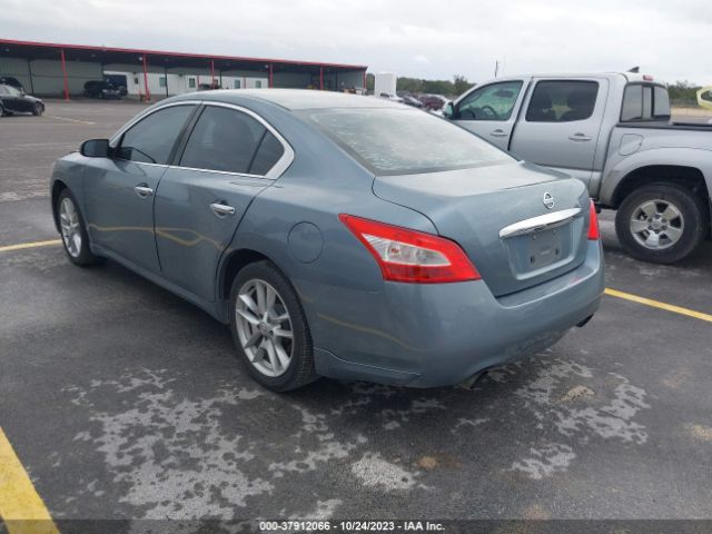 Photo 2 VIN: 1N4AA5AP9AC816527 - NISSAN MAXIMA 