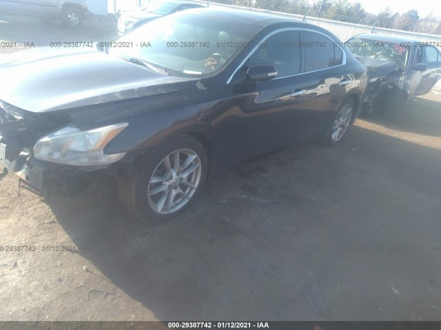 Photo 1 VIN: 1N4AA5AP9AC823767 - NISSAN MAXIMA 