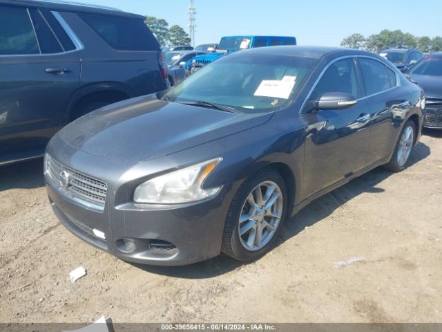 Photo 1 VIN: 1N4AA5AP9AC829665 - NISSAN MAXIMA 