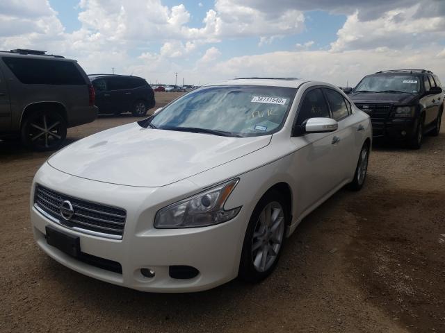 Photo 1 VIN: 1N4AA5AP9AC830475 - NISSAN MAXIMA S 