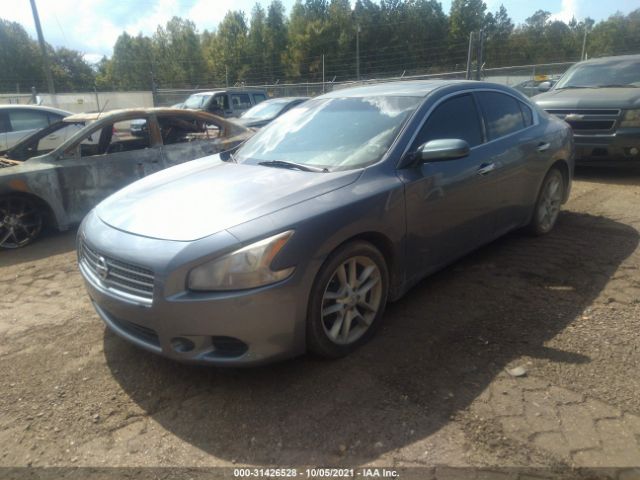 Photo 1 VIN: 1N4AA5AP9AC831352 - NISSAN MAXIMA 