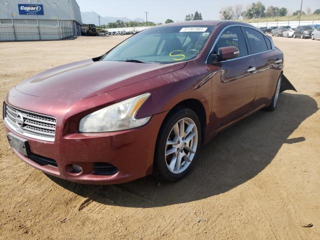 Photo 1 VIN: 1N4AA5AP9AC836681 - NISSAN MAXIMA S 