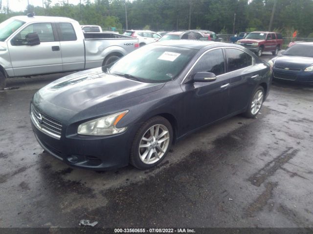 Photo 1 VIN: 1N4AA5AP9AC842559 - NISSAN MAXIMA 