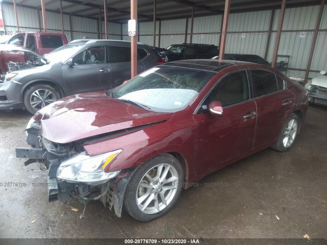 Photo 1 VIN: 1N4AA5AP9AC858812 - NISSAN MAXIMA 