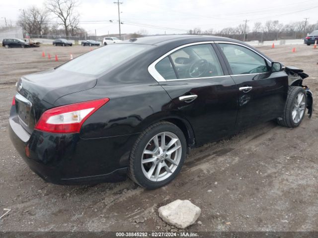 Photo 3 VIN: 1N4AA5AP9AC865923 - NISSAN MAXIMA 