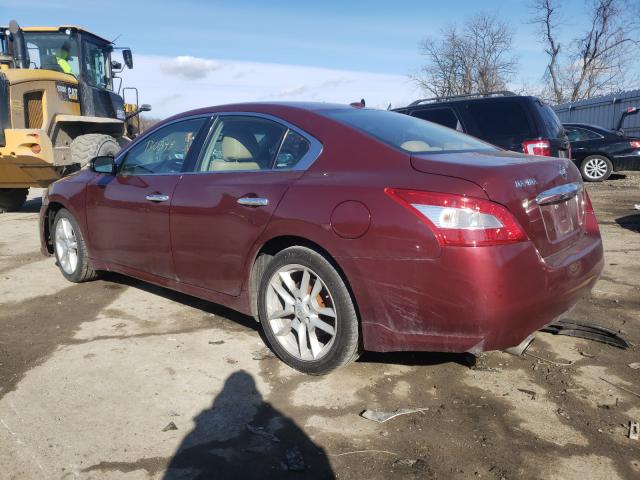 Photo 2 VIN: 1N4AA5AP9BC800376 - NISSAN MAXIMA S 