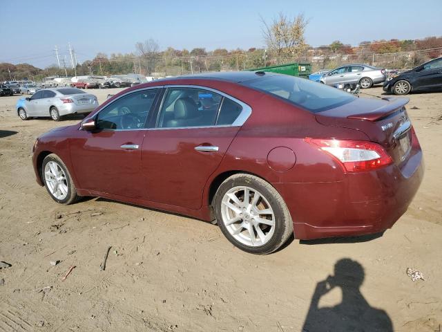 Photo 1 VIN: 1N4AA5AP9BC806159 - NISSAN MAXIMA 