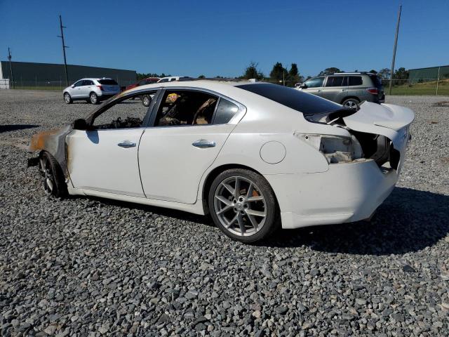 Photo 1 VIN: 1N4AA5AP9BC809675 - NISSAN MAXIMA S 