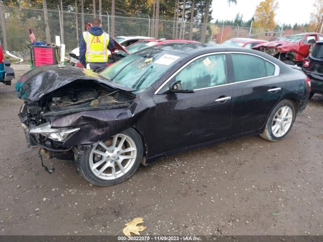 Photo 1 VIN: 1N4AA5AP9BC810051 - NISSAN MAXIMA 