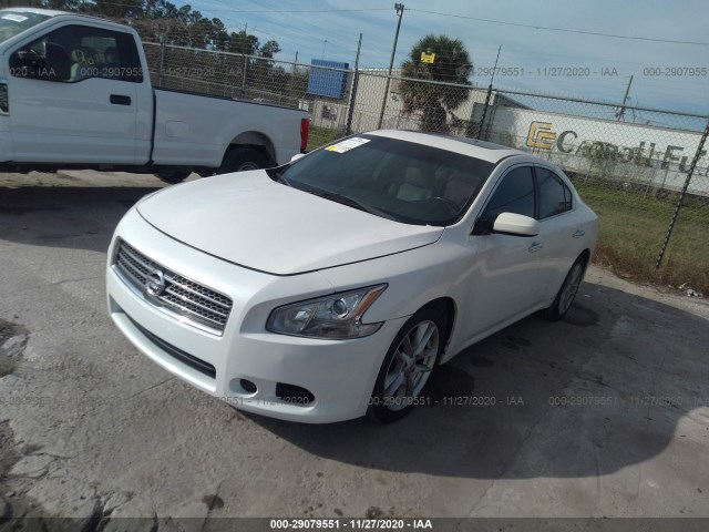 Photo 1 VIN: 1N4AA5AP9BC813385 - NISSAN MAXIMA 