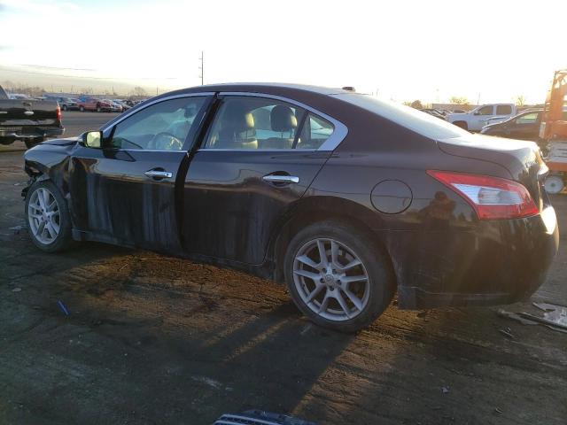 Photo 1 VIN: 1N4AA5AP9BC813967 - NISSAN MAXIMA S 