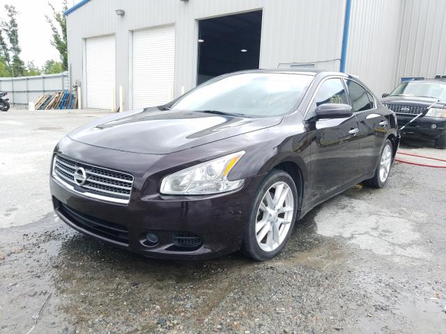 Photo 1 VIN: 1N4AA5AP9BC816464 - NISSAN MAXIMA S 