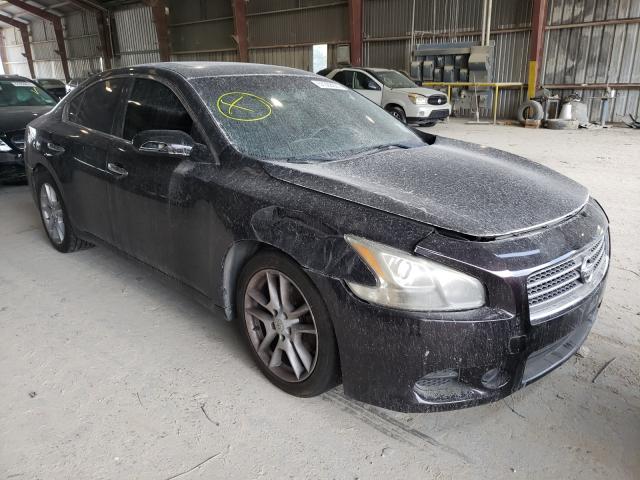 Photo 0 VIN: 1N4AA5AP9BC817775 - NISSAN MAXIMA S 