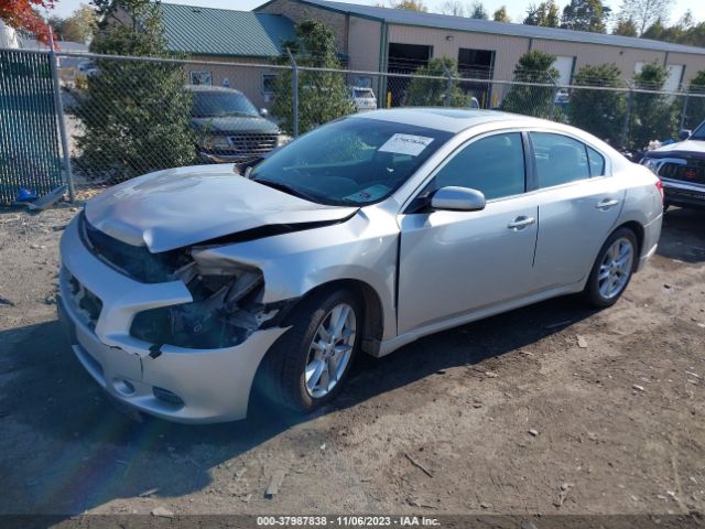 Photo 1 VIN: 1N4AA5AP9BC818344 - NISSAN MAXIMA 