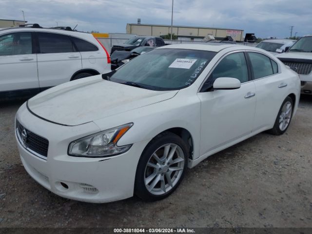 Photo 1 VIN: 1N4AA5AP9BC828758 - NISSAN MAXIMA 