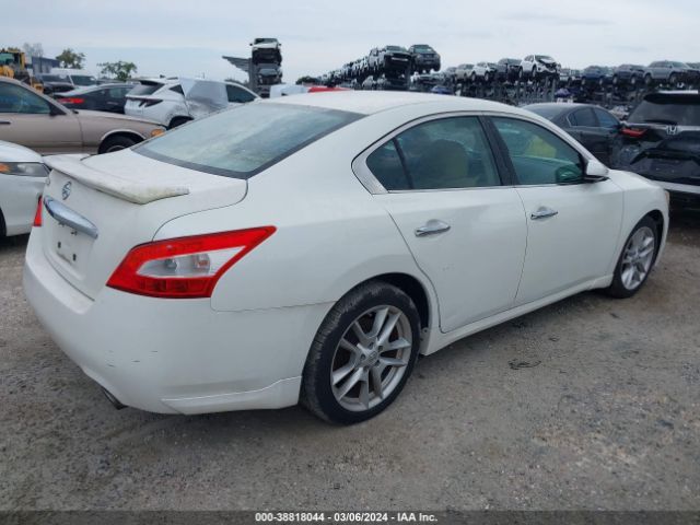 Photo 3 VIN: 1N4AA5AP9BC828758 - NISSAN MAXIMA 