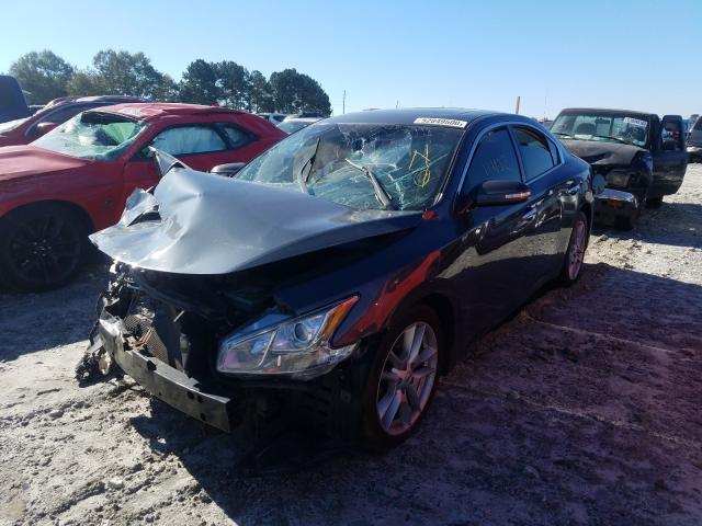 Photo 1 VIN: 1N4AA5AP9BC828842 - NISSAN MAXIMA S 