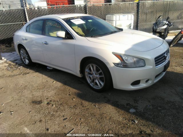 Photo 0 VIN: 1N4AA5AP9BC829280 - NISSAN MAXIMA 