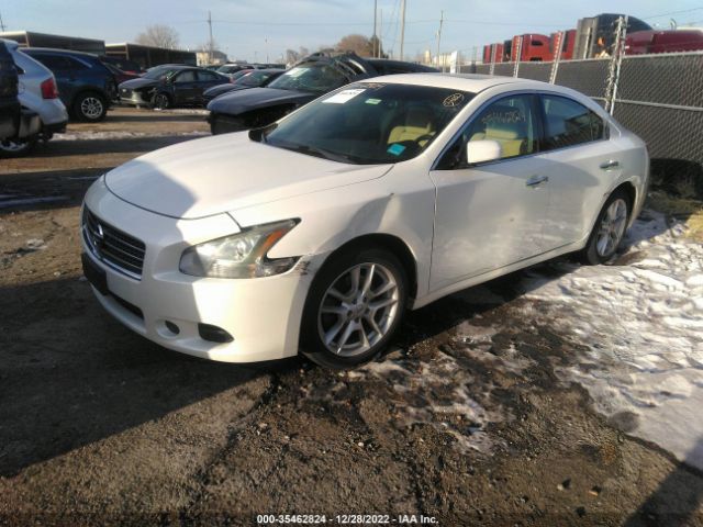 Photo 1 VIN: 1N4AA5AP9BC829280 - NISSAN MAXIMA 